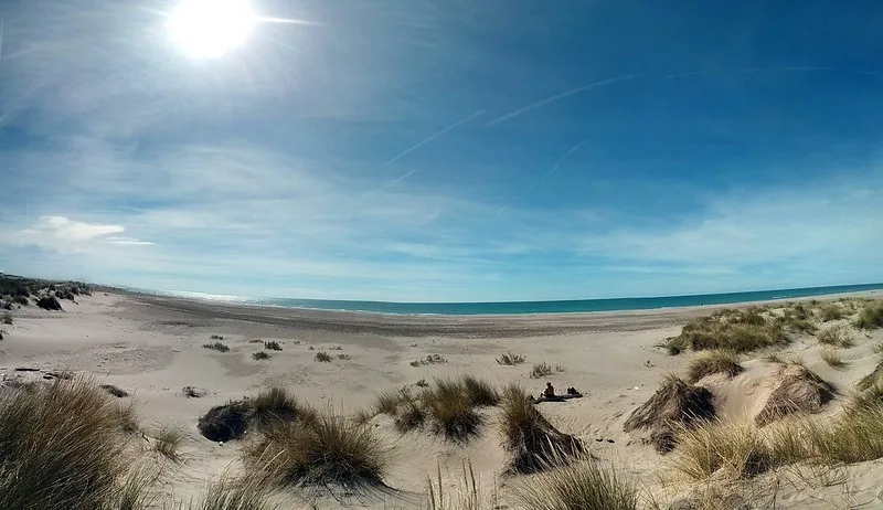 Les 10 Plus Belles Plages Du Sud Du Sud Plage Espiguette Camargue