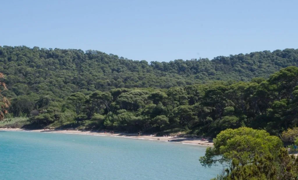 Les 10 Plus Belles Plages Du Sud Du Sud Plage Porquerolles Provence