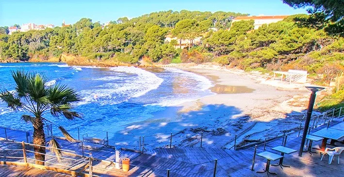 Les 10 Plus Belles Plages Du Sud Du Sud Plage Vignette Giens