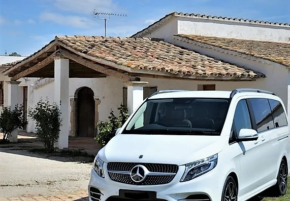 Tour to Arles, Private tour to Nimes