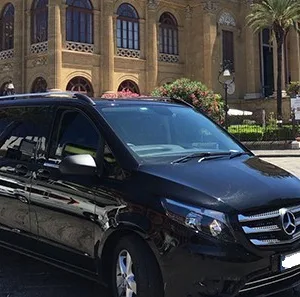 Tur pribadi ke Avignon