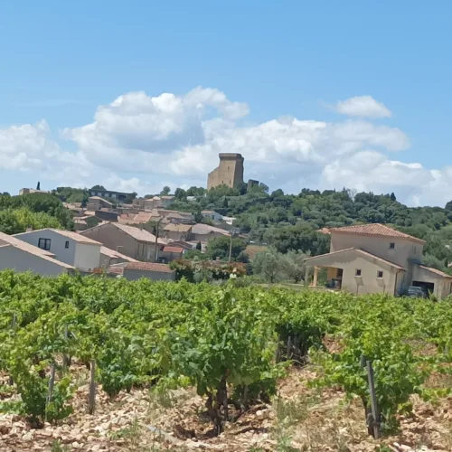 Tour to Châteauneuf-du-Pape