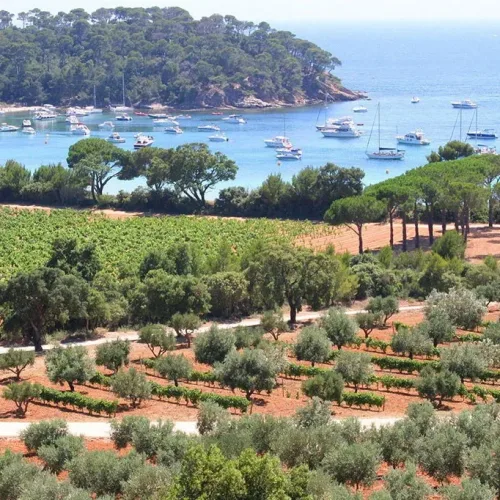Tur Pribadi ke Hyères-les-Palmiers