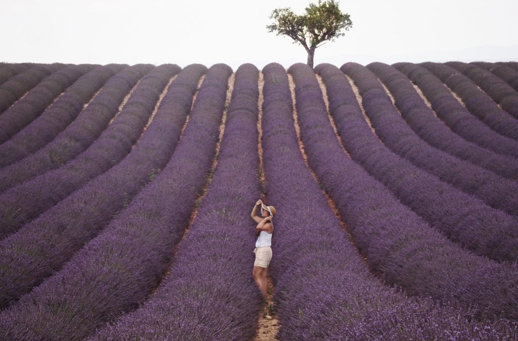 Provence Besuchen