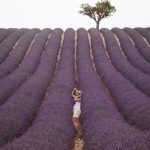 Visit Provence