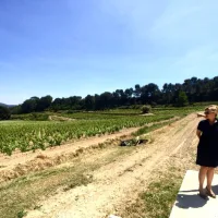 Private tour in Bandol