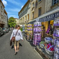 Pribadong tour sa Avignon