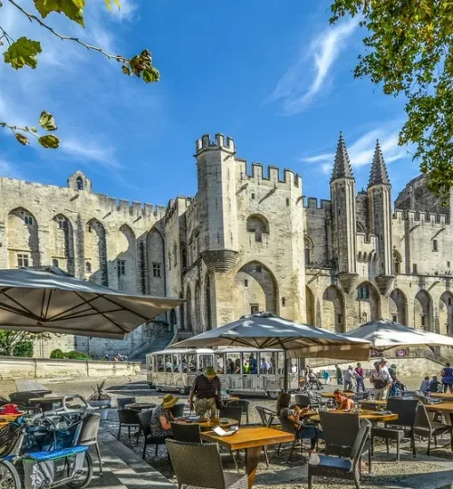 Avignon guided tour
