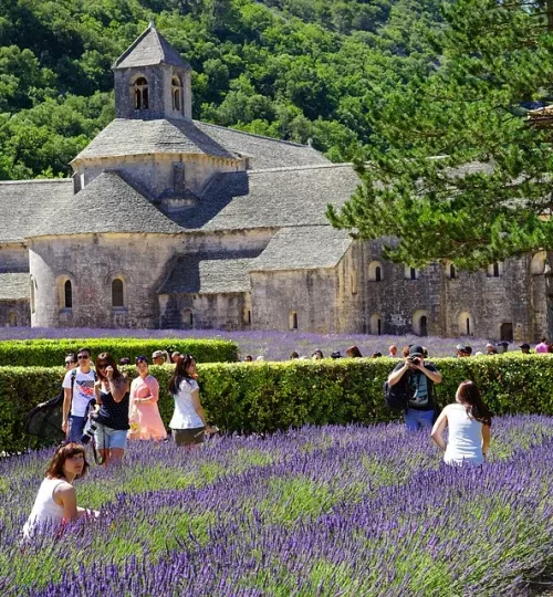 Tour to Senanque abbey